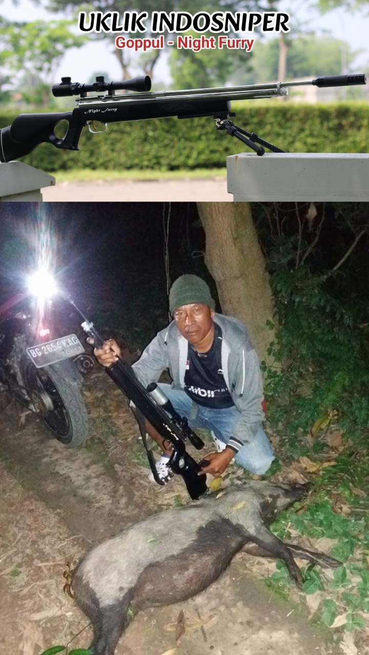 Senapan Angin Terbaik Senapan Angin Terbaik
