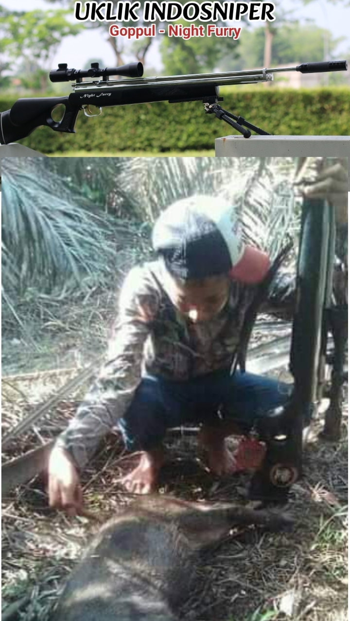 Jual senapan murah Jual senapan murah