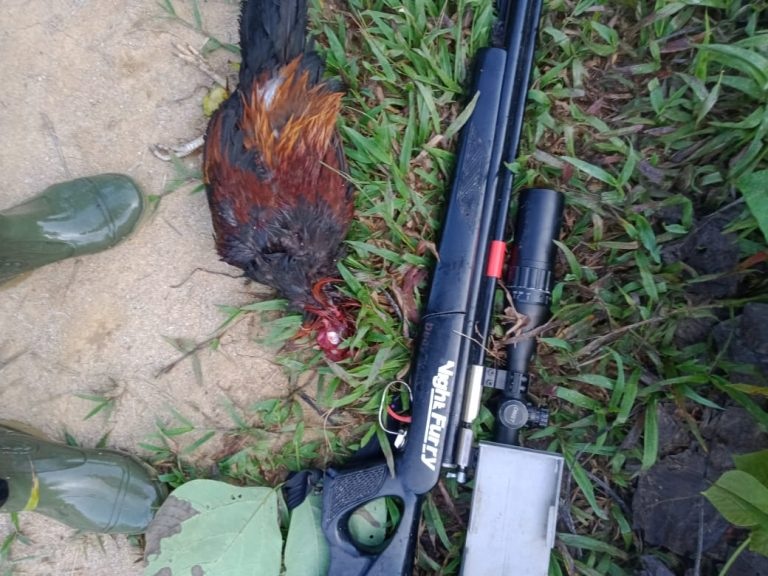 Indosniper, Toko Jual Senapan Angin Terbaik