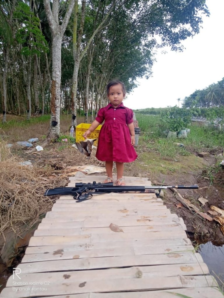 Jual Senapan Angin di Kabupaten Bantul