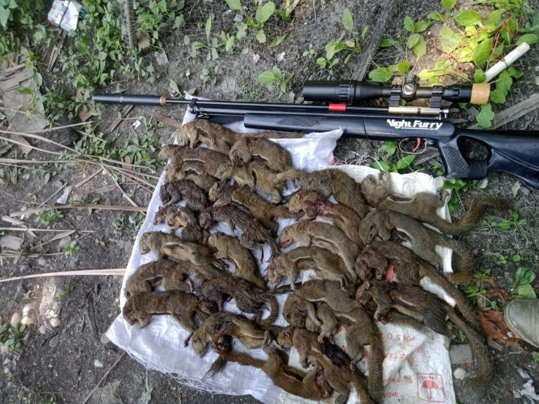 Jual Senapan Angin di Kota Bengkulu