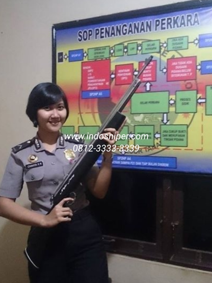 Inilah Standar Kualitas Jual Senapan Angin Terbaik Indonesia