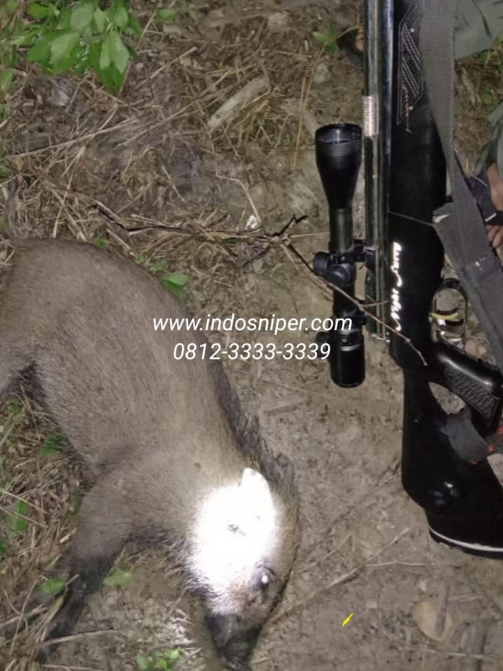 Jual Senapan Angin Terbaik Indonesia: Cerita Ketangguhan Goppul Night Furry