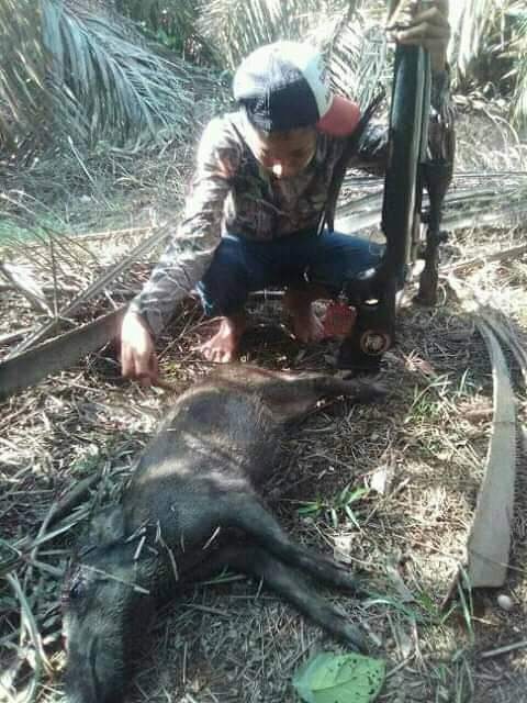 Toko Senapan Angin di Kabupaten Aceh Barat