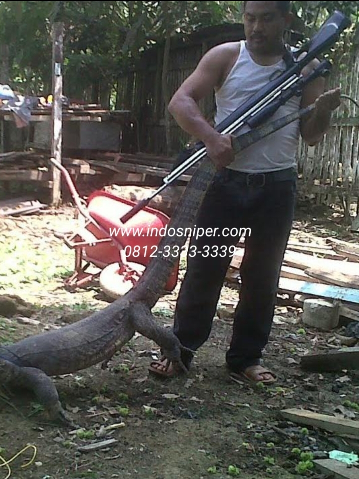 Senapan Angin Uklik Goppul Indosniper, Kekuatan dan Ketepatan Terbaik