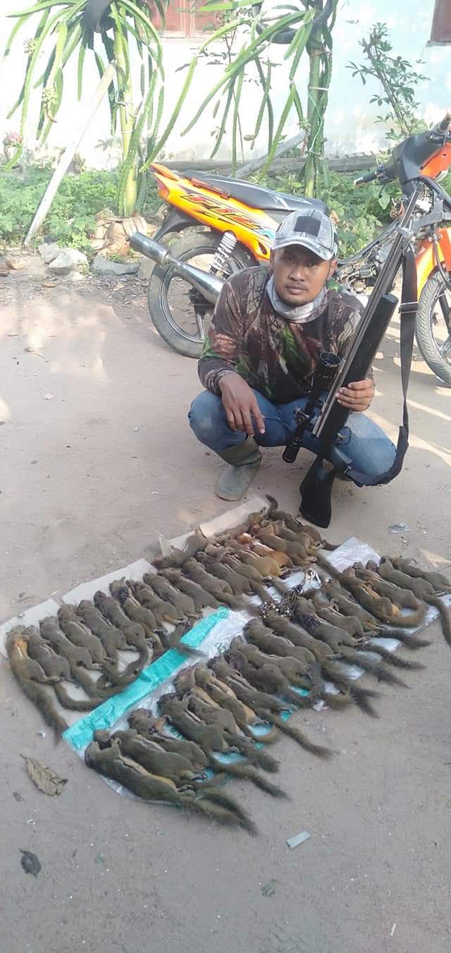 Cara Memilih Senapan Sniper Terbaik Uklik: Panduan untuk Pemula hingga Profesional