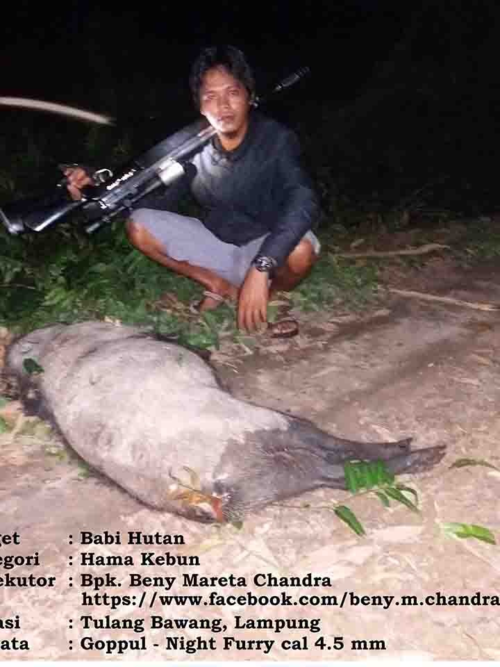Toko Senapan Angin di Kabupaten Karo